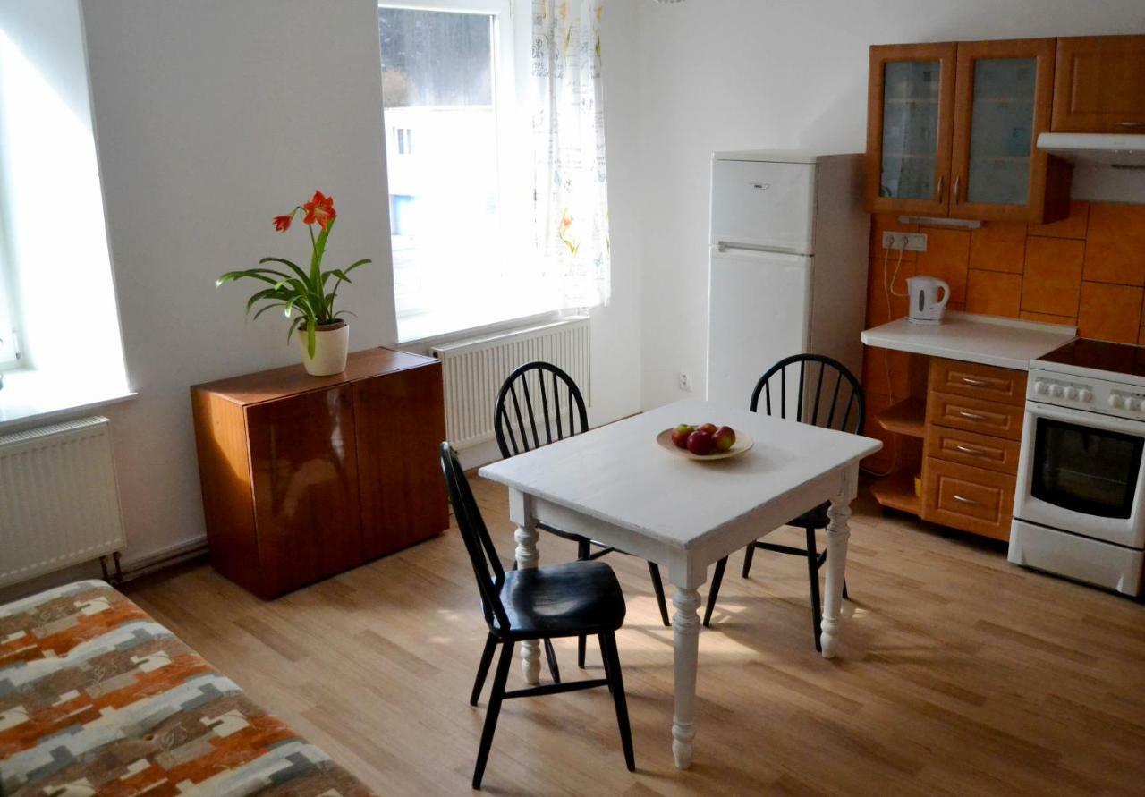 Apartmany Sophia Трутнов Экстерьер фото